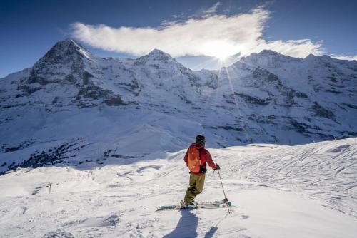 Hotel Jungfraublick - image 7