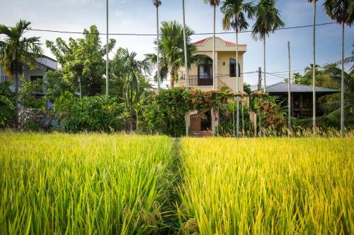 La Maison Gạo, Hoi An, Hoi An
