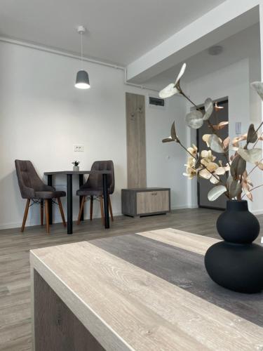Comfort & Luxury Apartaments PNMresidence, Timişoara