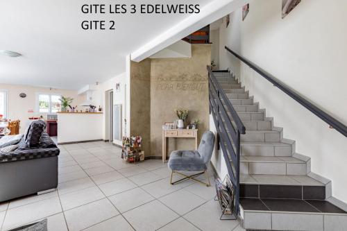 Les 3 Edelweiss - GITE 1 OU GITE 2 - Arette