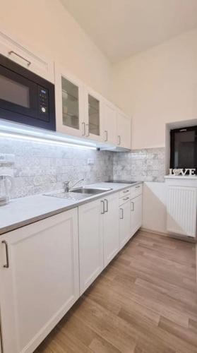 Finnem Rentals Pernerova, Prague (photo 8)