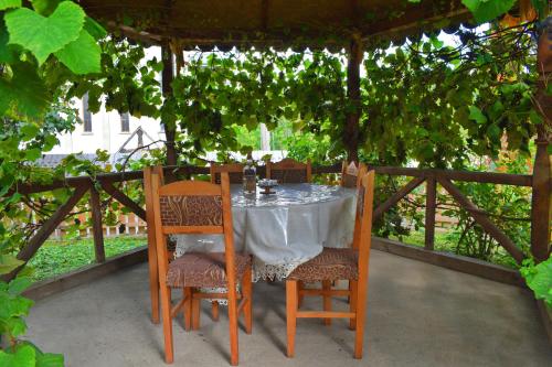 Iekārtas, Casa Vladicu in Ocna Sugatag