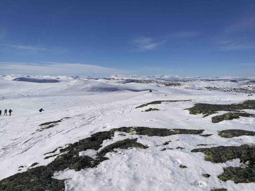 Høyfjellshytte i Valdres med panoramautsikt