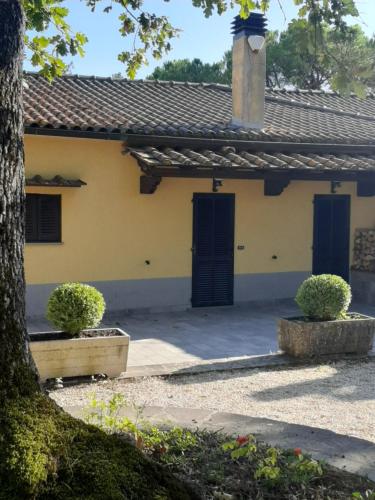  Casa del Poggio, Casa Laura in Anghiari