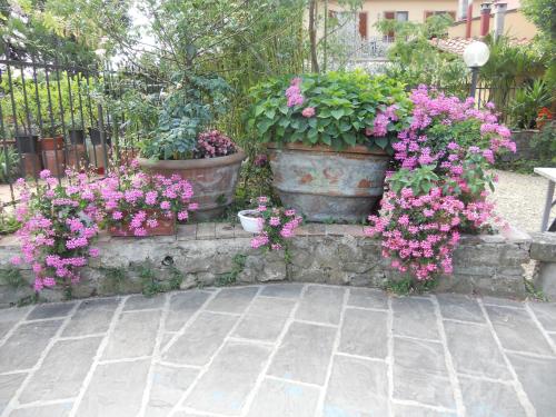 Agriturismo Le Macine - image 11