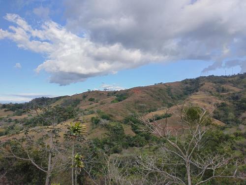 Finca Las Mariposas Grifo Alto