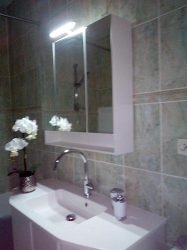 Appartement prox Centre, Strasbourg (photo 8)