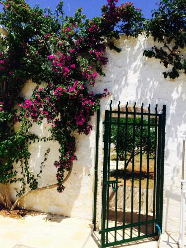 Casa Vacanze Cappuccio - image 5