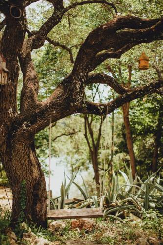 Uber Unique Lakefront Eco Cabin on a Magical Retreat Property in Spicewood, USA