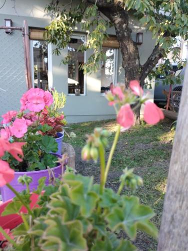Holiday Home room in Los Tilos