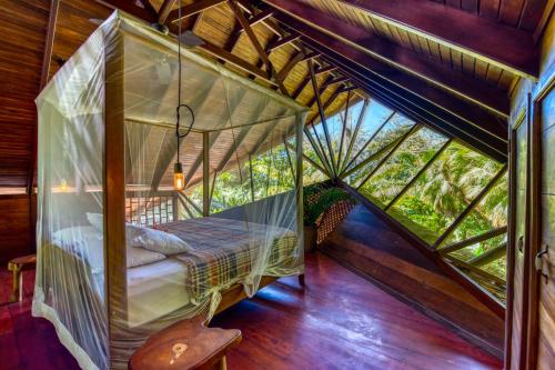 Tree House Beachfront Lodge in Puerto Viejo de Talamanca