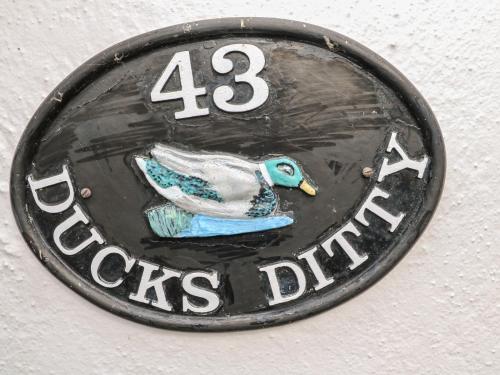 Ducks Ditty - image 10