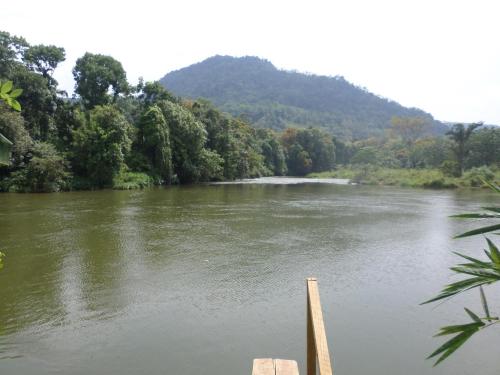 Comfortable Eco Stays in Kitulgala with sightseeing & Adventure activities - Back Kate Resort