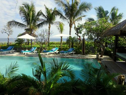 Mayo Resort Room Type - Studio with Sea View