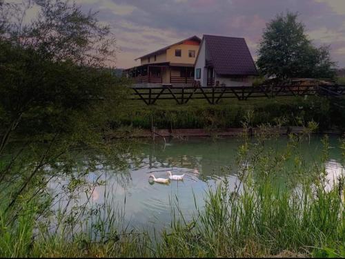 . Căsuța de la râu