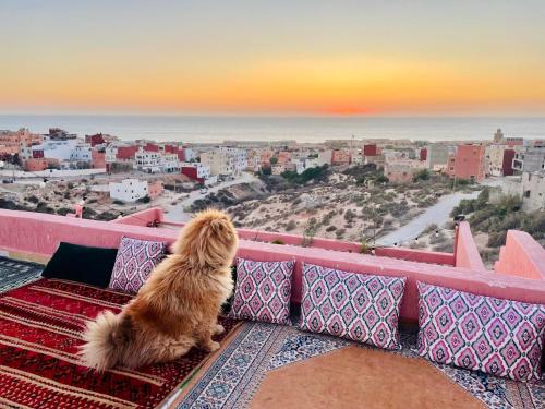 Dar George Tamraght 5
