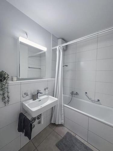 Spacious apartment next to Rhine, Bazylea (zdjęcie 8)