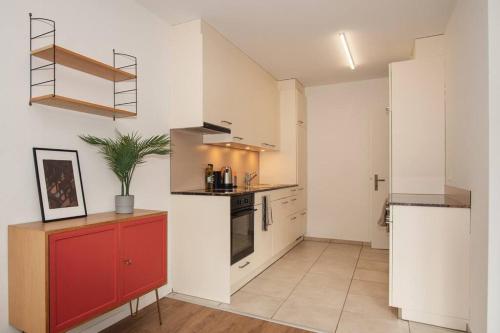 Spacious apartment next to Rhine, Bazylea (zdjęcie 4)