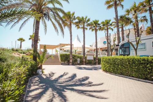 Kiko Park Oliva in Oliva