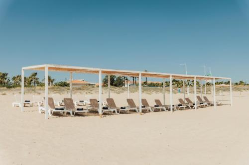 Kiko Park Oliva in Oliva