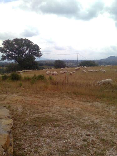 Agriturismo La Carletta - image 11