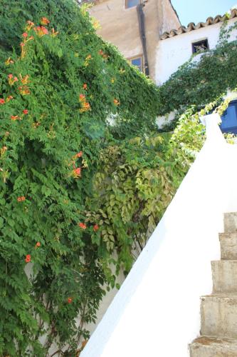 Kert, Casa Alcaida in Quesada