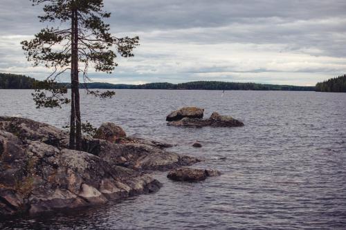 Saimaa Life Apartments - image 13