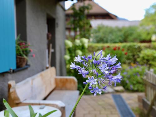 Backhüsli am Bauerngarten