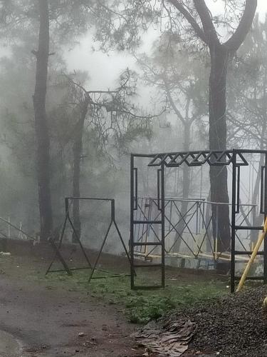 Kasauli Jungle Track