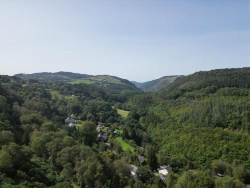 The Kites Nest The Kites Nest