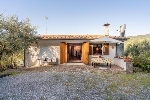 Villa gli Olivi Country House - Accommodation - Pescia