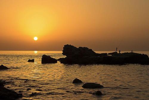 Suite Paradise - D111 in Caesarea