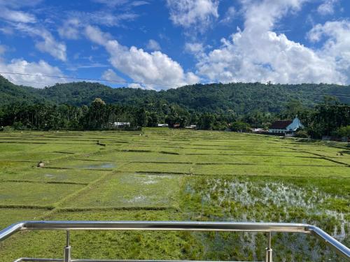 Le Green Kaziranga