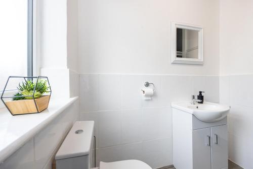 M6 Guest House, Manchester (fotografie 2)