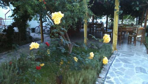 Rosemary Pansiyon - image 3