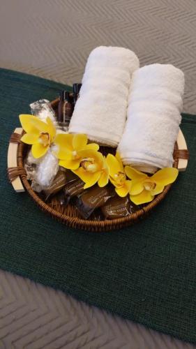 Pousada Gaucha – Fernando de Noronha Island, WI