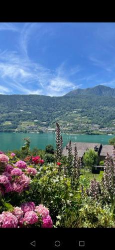HAPPY DAYS Appartamento con stupenda vista lago