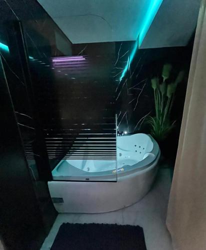 Airport Apart Exklusiv Apartment mit eigenem Whirpool 2,5 km vom Flughafen Nürnberg, Núremberg (foto 4)
