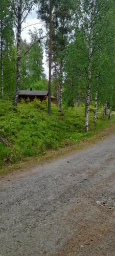 Camping Kiviniemi