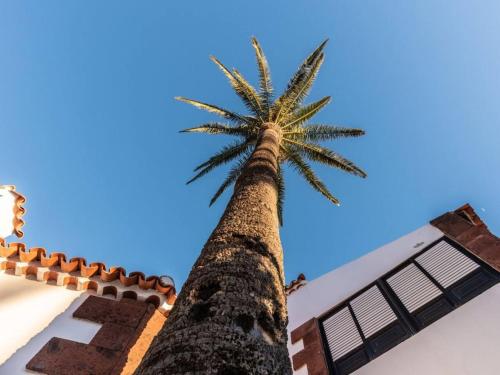 Casa Niebla - Zona Rural - Alajeró