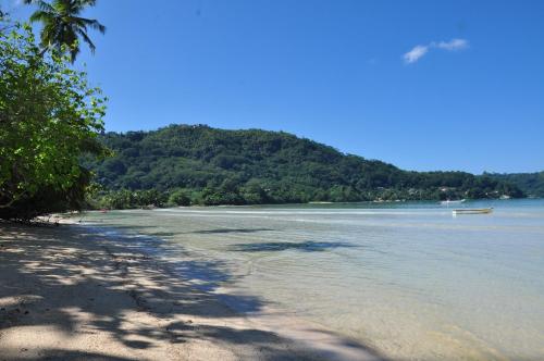 فيلا سيلا فيلا سيلا