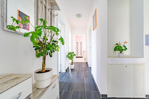 Merve Comfort Aparts2-Hannover, Hannover (fotografie 2)