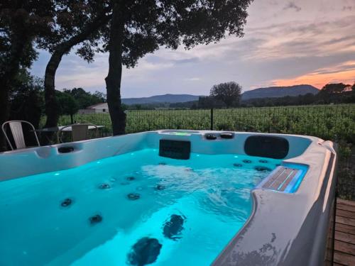2 studios avec spa, "A l'Ombre de la Chêneraie", vue panoramique sur vignoble, nature et bien-être - Location saisonnière - Saint-Bauzille-de-Montmel