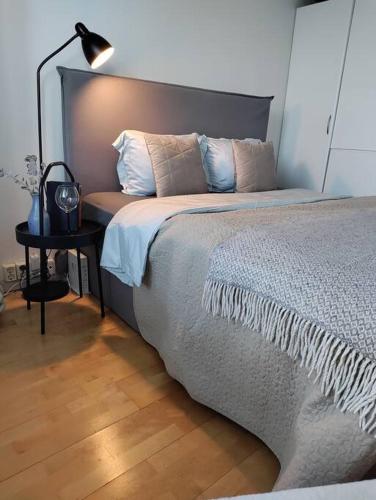 Top-floor studio, near park & sea, great transit in Töölö