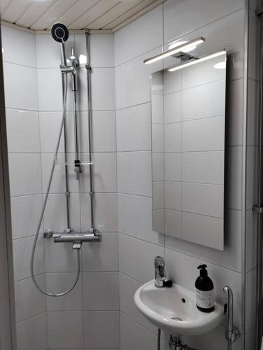 Top-floor studio, near park & sea, great transit, Helsinki (foto 6)