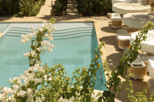Les Palmiers Boutique Hôtel & Spa - image 3