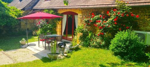 Coquelicots Dordogne - Masclat