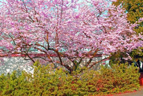 Unterkunft von außen, Apartment close to nature,airport, fair in Ratingen