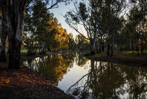 The Paddock at Ulupna