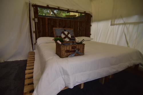 Eco-Glamping Panorama